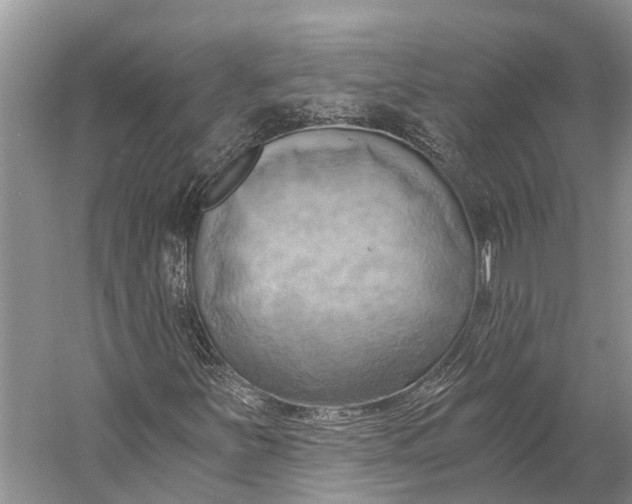 X0000058801251200510171337