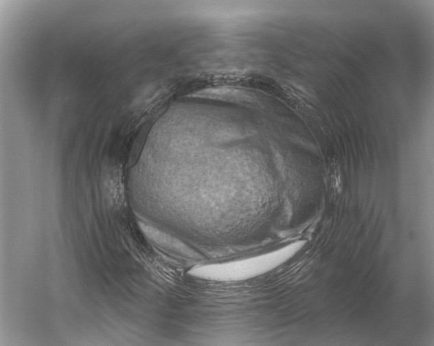 X0000058801252200510171337