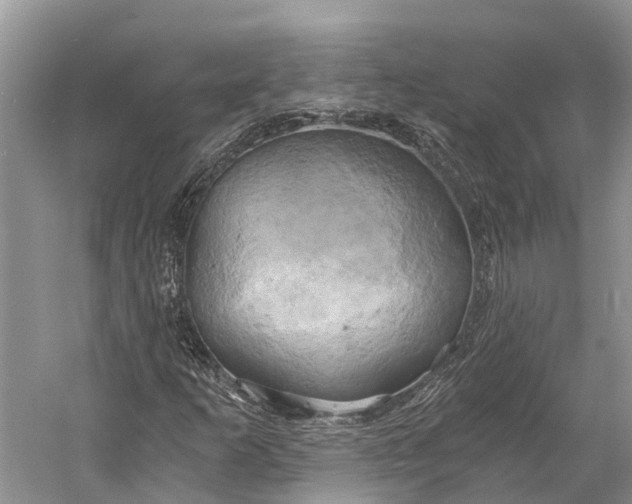 X0000058801253200510171337