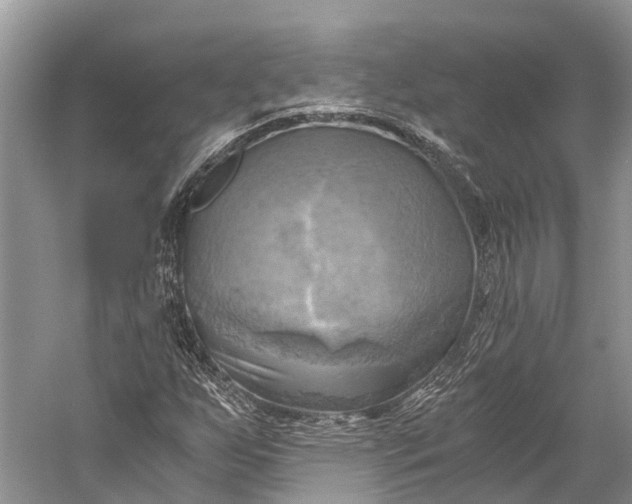 X0000058801255200510171337