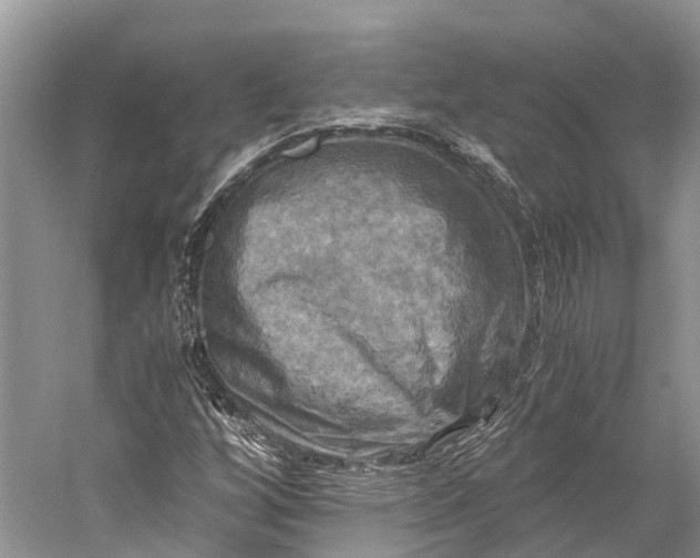 X0000058801256200510171337