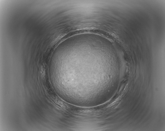 X0000058801257200510171337