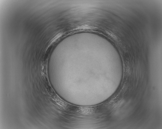 X0000058801258200510171337