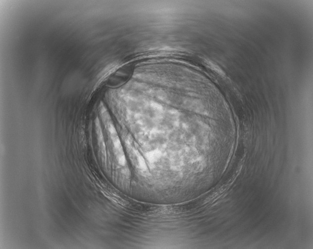 X0000058801259200510171337