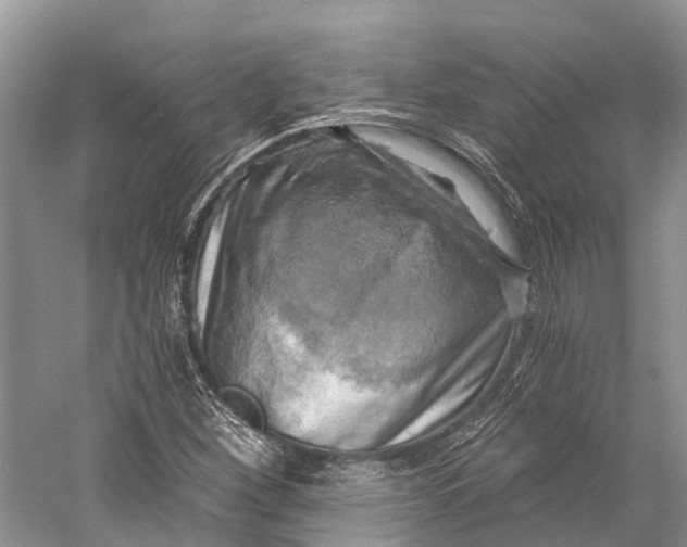 X0000058801260200510171337