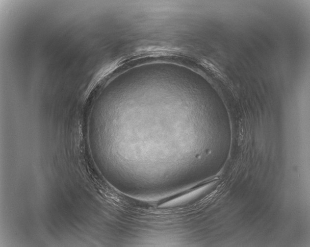 X0000058801261200510171337