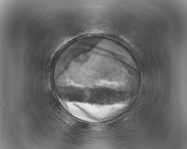 X0000058801262200510171337