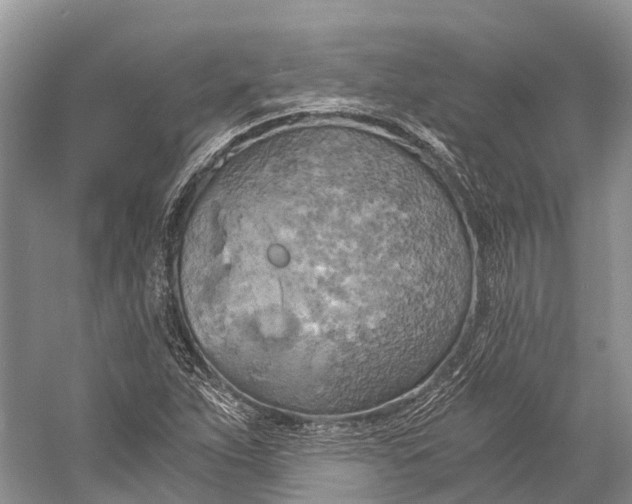 X0000058801263200510171337