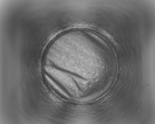 X0000058801264200510171337