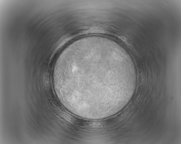 X0000058801266200510171337