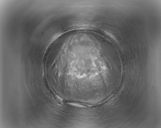 X0000058801267200510171337