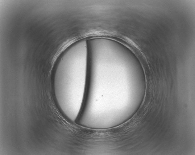 X0000058801269200510171337