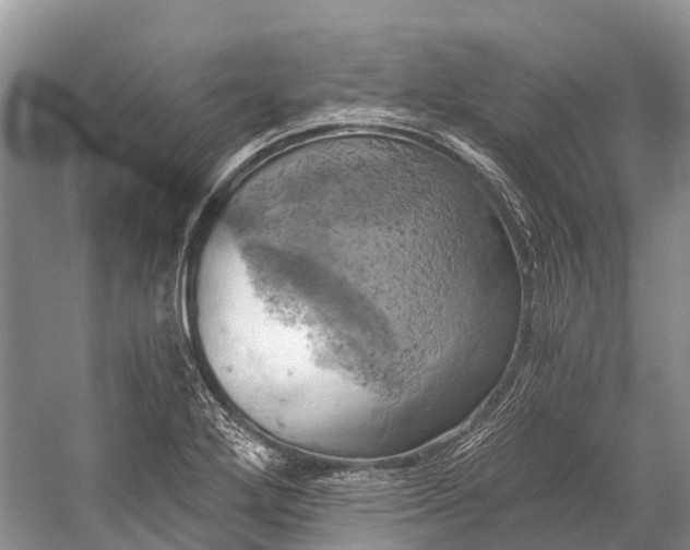 X0000058801272200510171337