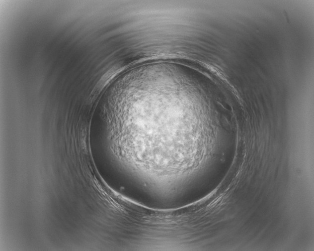 X0000058801273200510171337