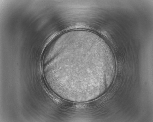 X0000058801274200510171337