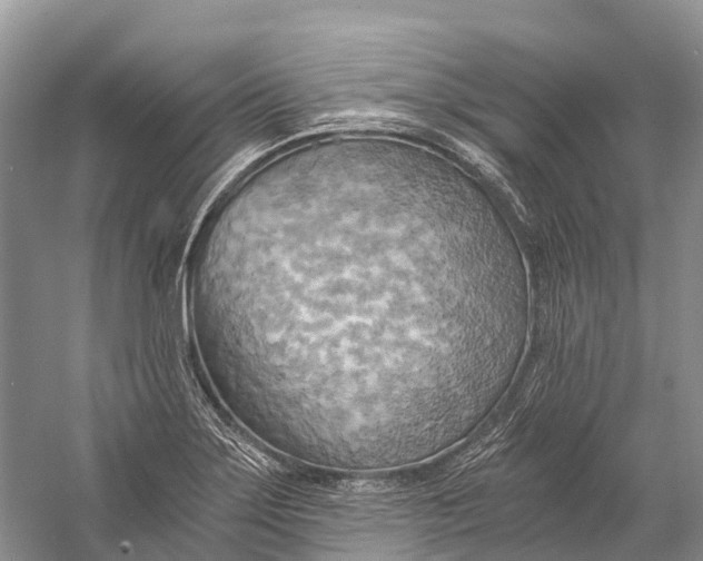 X0000058801275200510171337