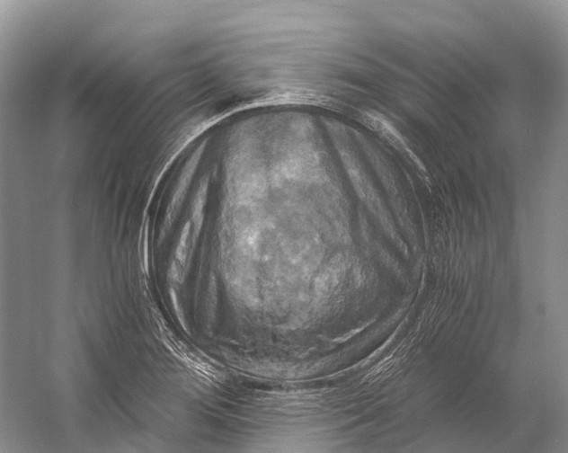 X0000058801276200510171337