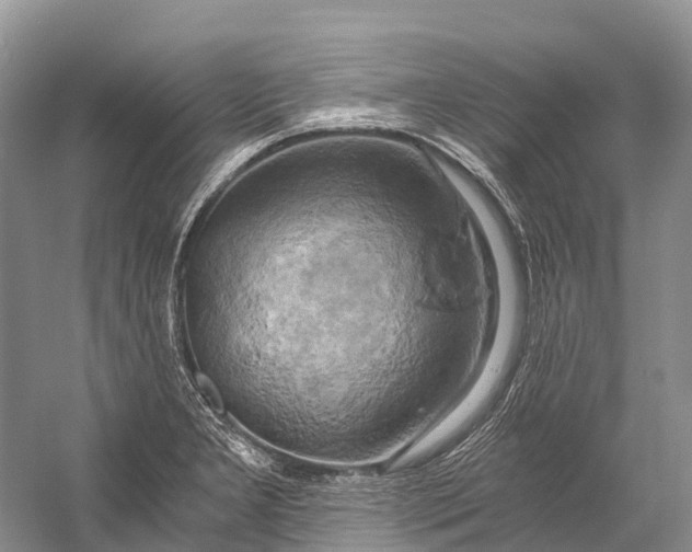 X0000058801277200510171337