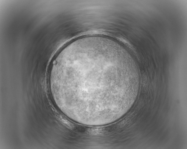 X0000058801278200510171337