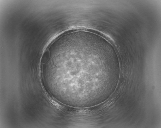 X0000058801279200510171337