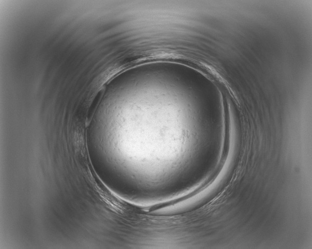 X0000058801281200510171337