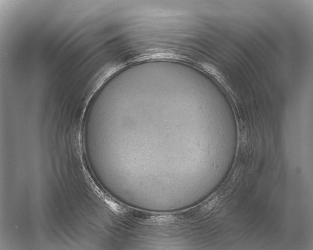 X0000058801282200510171337