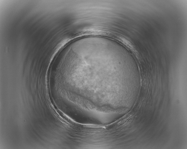 X0000058801283200510171337