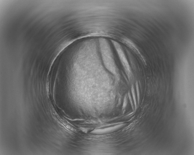 X0000058801284200510171337