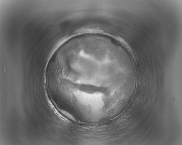 X0000058801287200510171337