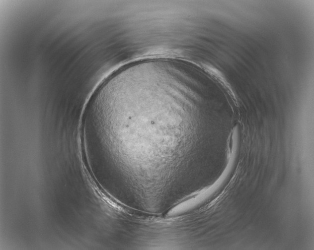 X0000058801288200510171337