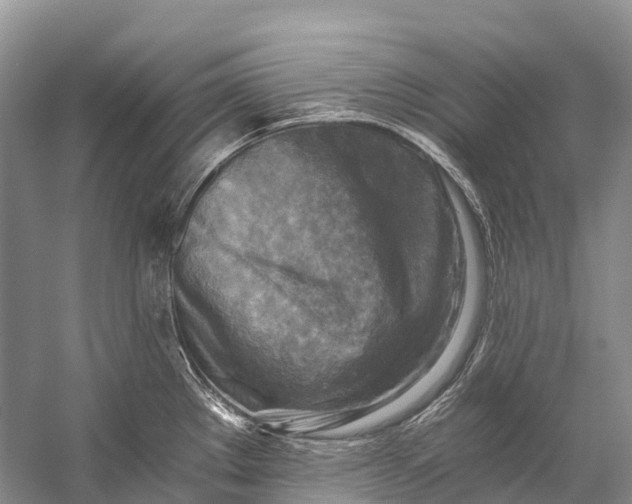 X0000058801289200510171337