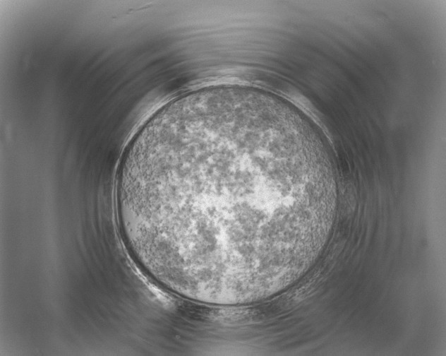 X0000058801290200510171337