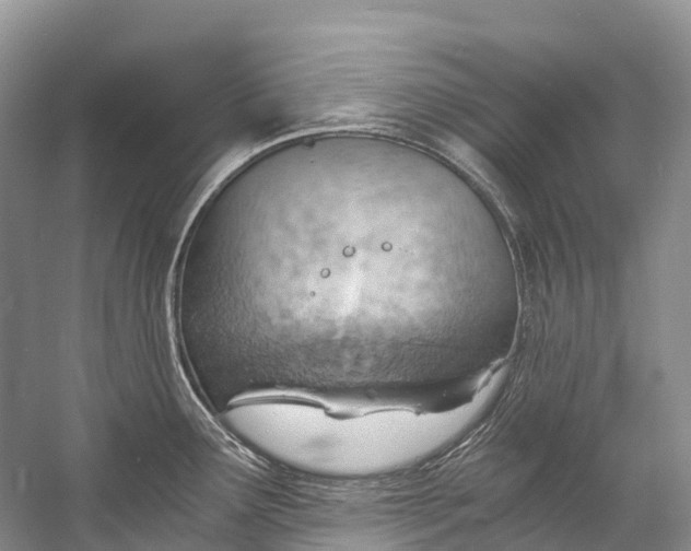 X0000058801291200510171337