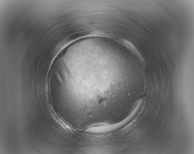 X0000058801292200510171337