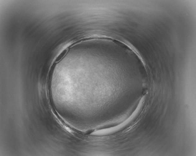 X0000058801293200510171337