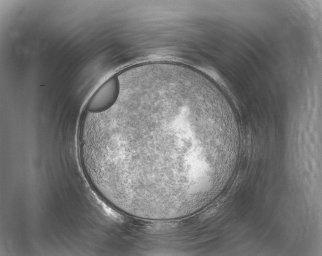 X0000058801294200510171337