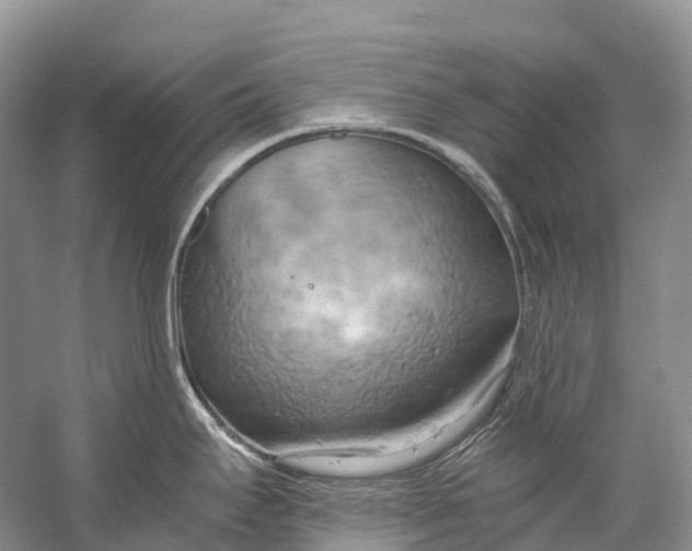 X0000058801295200510171337