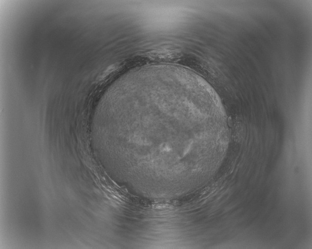 X0000058801297200510171336