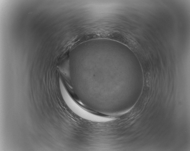 X0000058801298200510171336