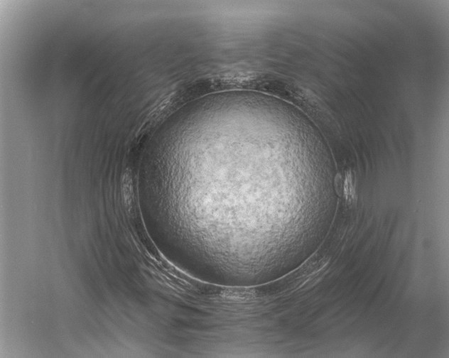 X0000058801299200510171336