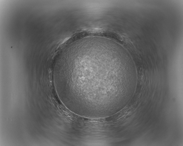 X0000058801301200510171336