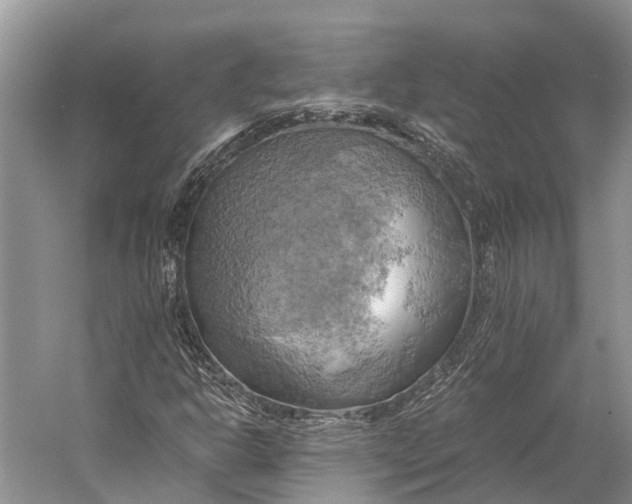 X0000058801302200510171336