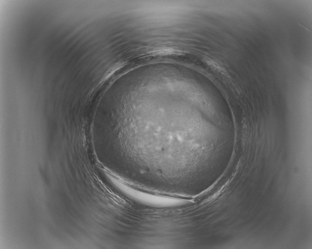 X0000058801305200510171336