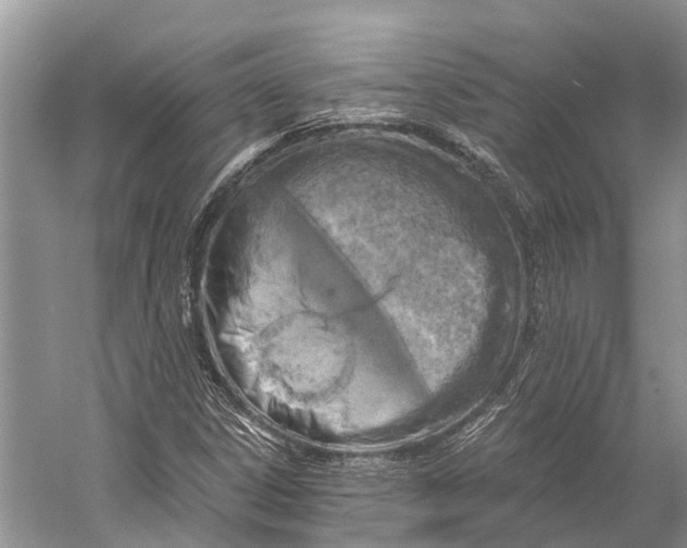 X0000058801306200510171336