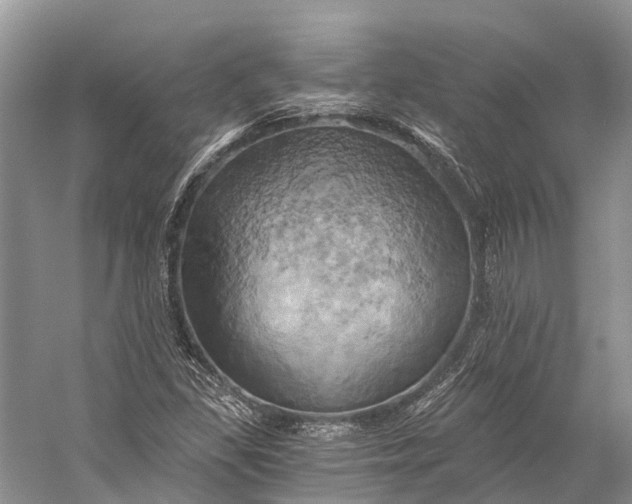 X0000058801309200510171336