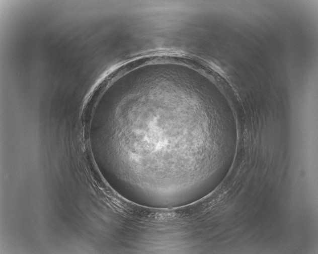 X0000058801310200510171336