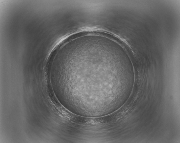 X0000058801311200510171336