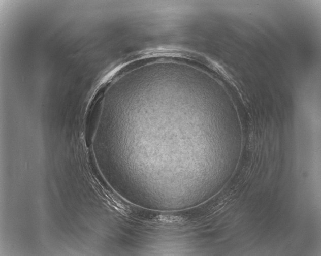 X0000058801312200510171336