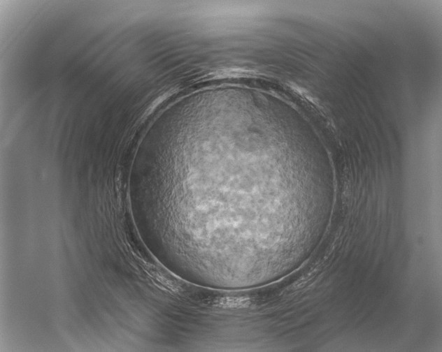 X0000058801313200510171336