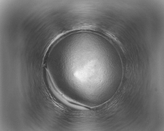 X0000058801316200510171336